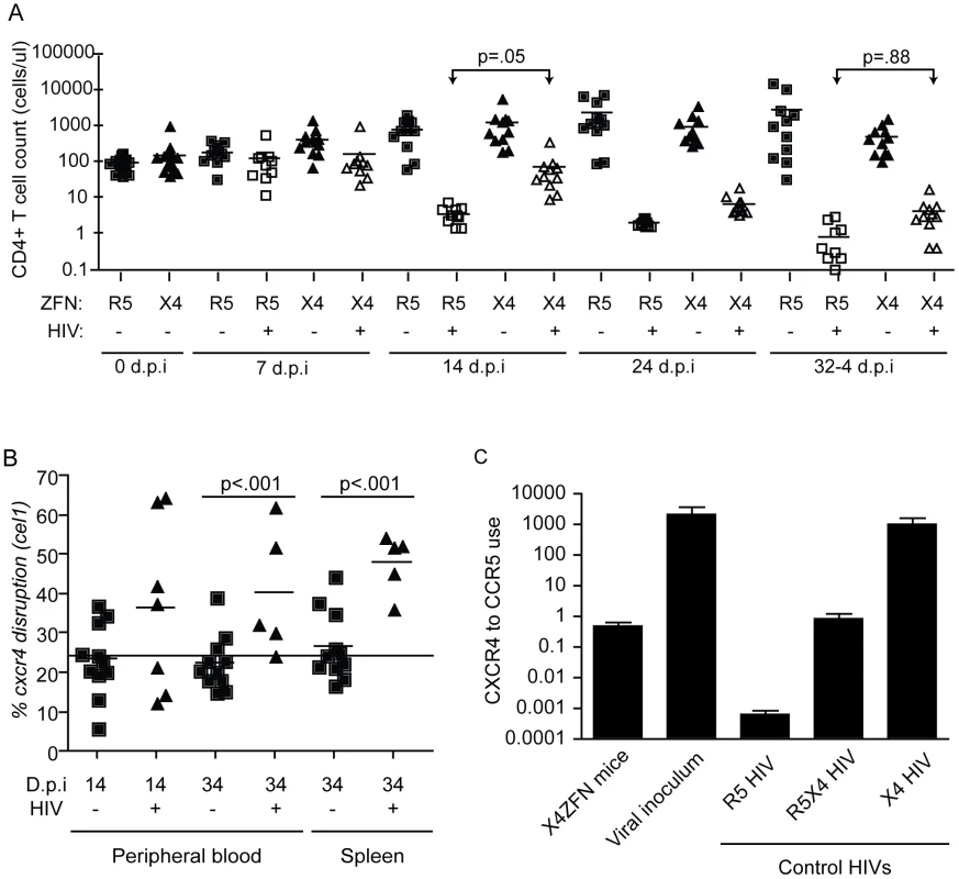 Treatment with X4-ZFNs confers partial protection to HIV-1 in humanized mice <i>in vivo</i>.