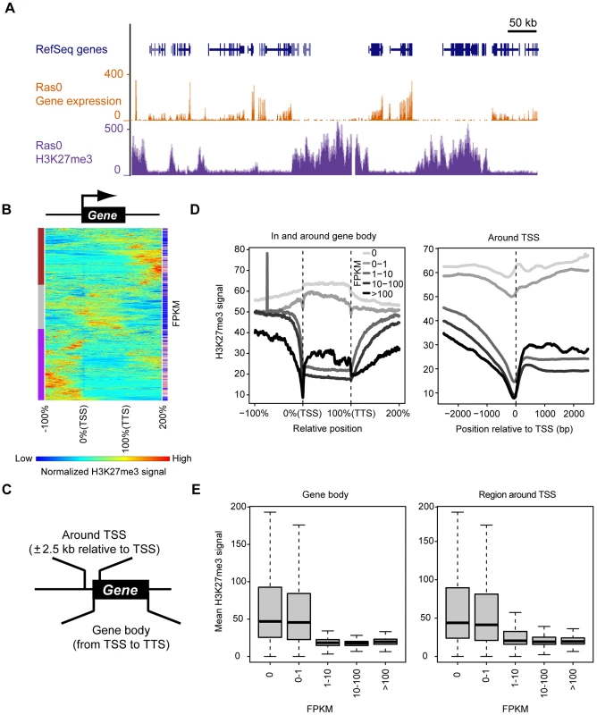 Genome-wide identification of genomic regions at which H3K27me3 enrichment is associated with transcriptional repression.