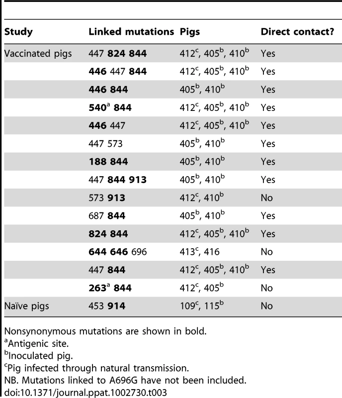 List of mutations present in the same clones that were transmitted among pigs in both studies.