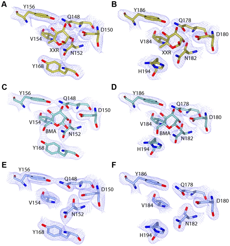 C-terminal MMBL-sugar binding motifs of pyocin L1 bind d-rhamnose and d-mannose.