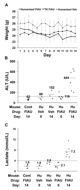 FIAU-induced liver toxicity is dose-dependent in TK-NOG mice with humanized livers.