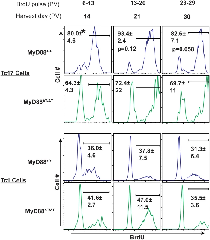 MyD88 signaling potentiates proliferation of Tc17 cells.