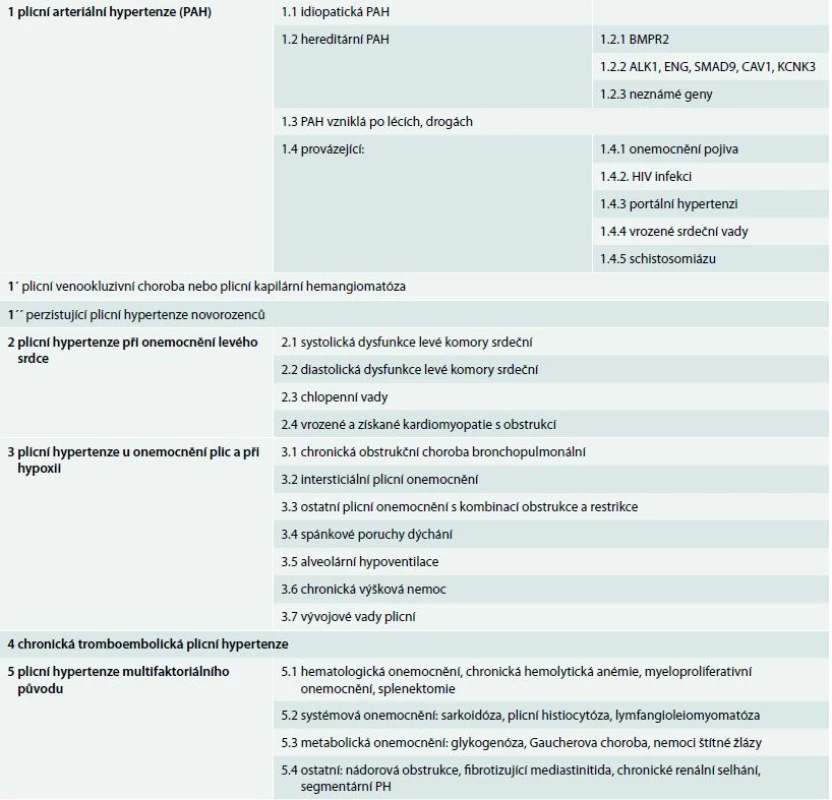 Revidovaná nomenklatura a klasifikace plicní arteriální hypertenze (Nice, 2013)