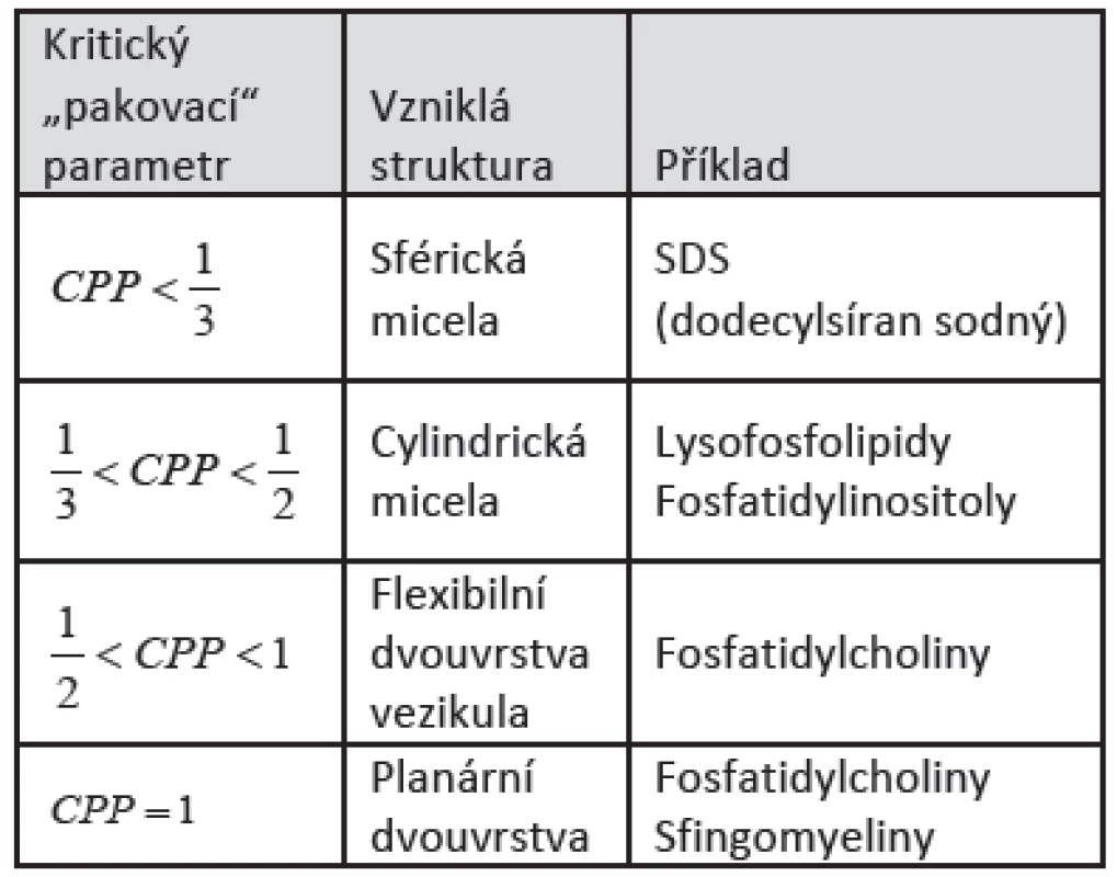 Vztah mezi CPP a vzniklou strukturou [9].