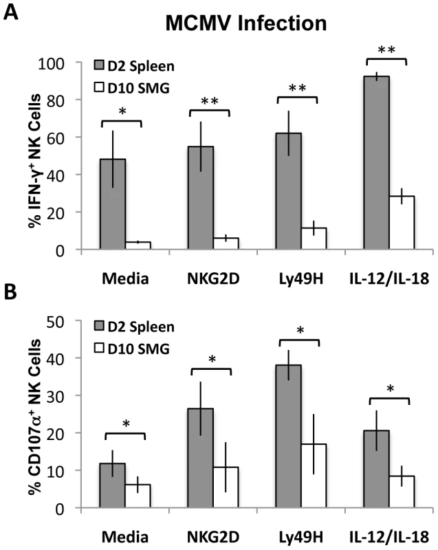 MCMV activated SMG NK cells have impaired IFN-γ and degranulation compared with splenic NK cells.