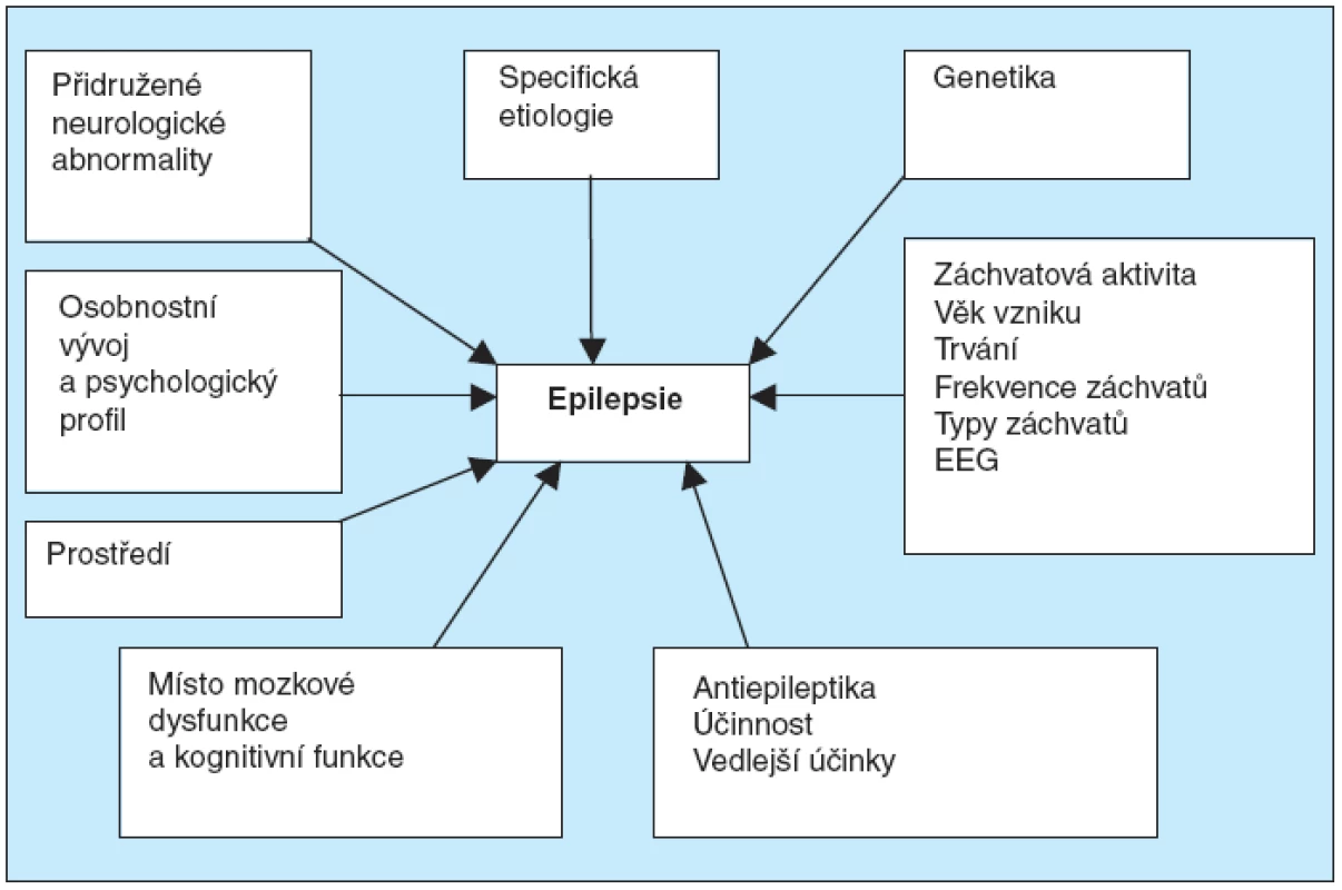 Faktory, které ovlivňují epilepsii u individuálního pacienta (1)