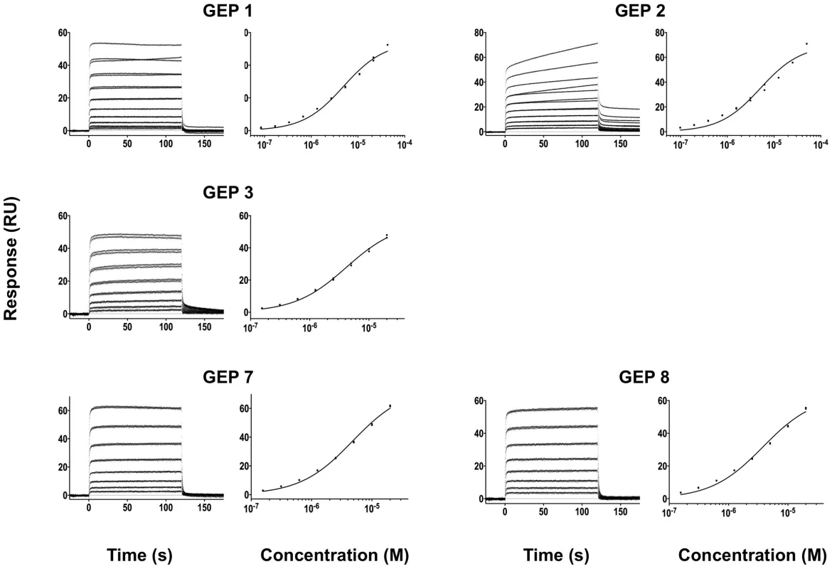 SPR sensorgrams of the interactions between ES T344 and the indicated GEPs (left plots) and the analysis of equilibrium responses versus concentration (right plots).