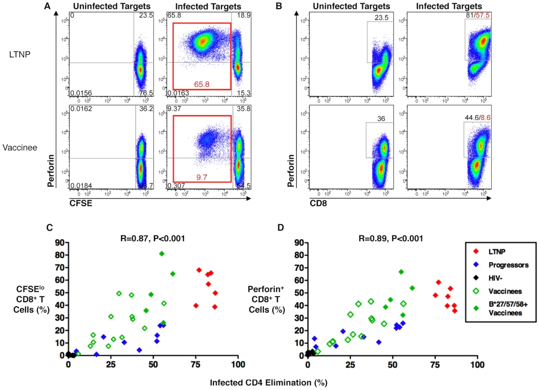 HIV-specific CD8<sup><b>+</b></sup> T-cell proliferation and perforin expression correlated with cytotoxic capacity in recipients of an Ad5/HIV vaccine.