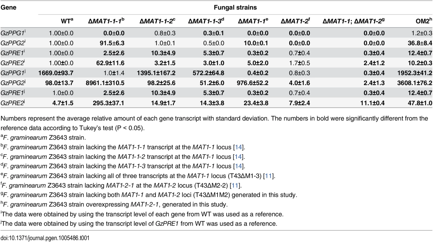 Relative transcript levels of genes for pheromone precursors and receptors accumulated in the <i>MAT-</i>deletion- and <i>MAT1-2-1-</i>overexprssing-strains of <i>F</i>. <i>graminearum</i> under perithecial induction stage.