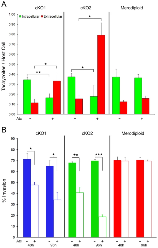 Host cell invasion is impaired in TgROM4 conditional knockouts.