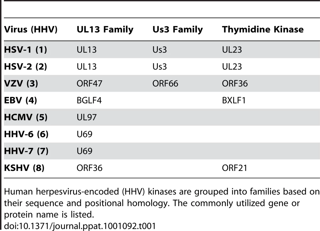 Kinases encoded by the human herpesviruses.