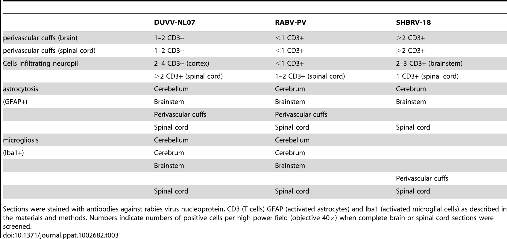 Overview of histopathological changes observed in the brain and spinal cord of animals infected with DUVV-NL07, RABV-PV or SHBRV-18 virus at the time of paralysis.