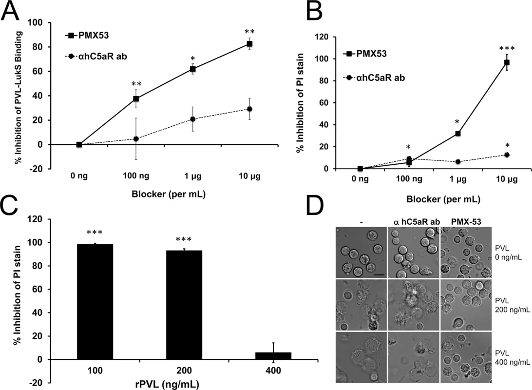 PMX53 inhibits PVL-mediated pore formation and cytotoxicity <i>in vitro</i>.