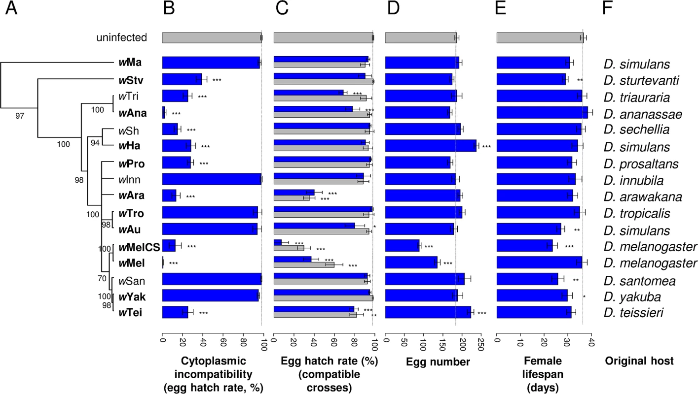 Phylogenetic distribution of CI levels and <i>Wolbachia</i> effects on egg hatch rates, fecundity and lifespan.
