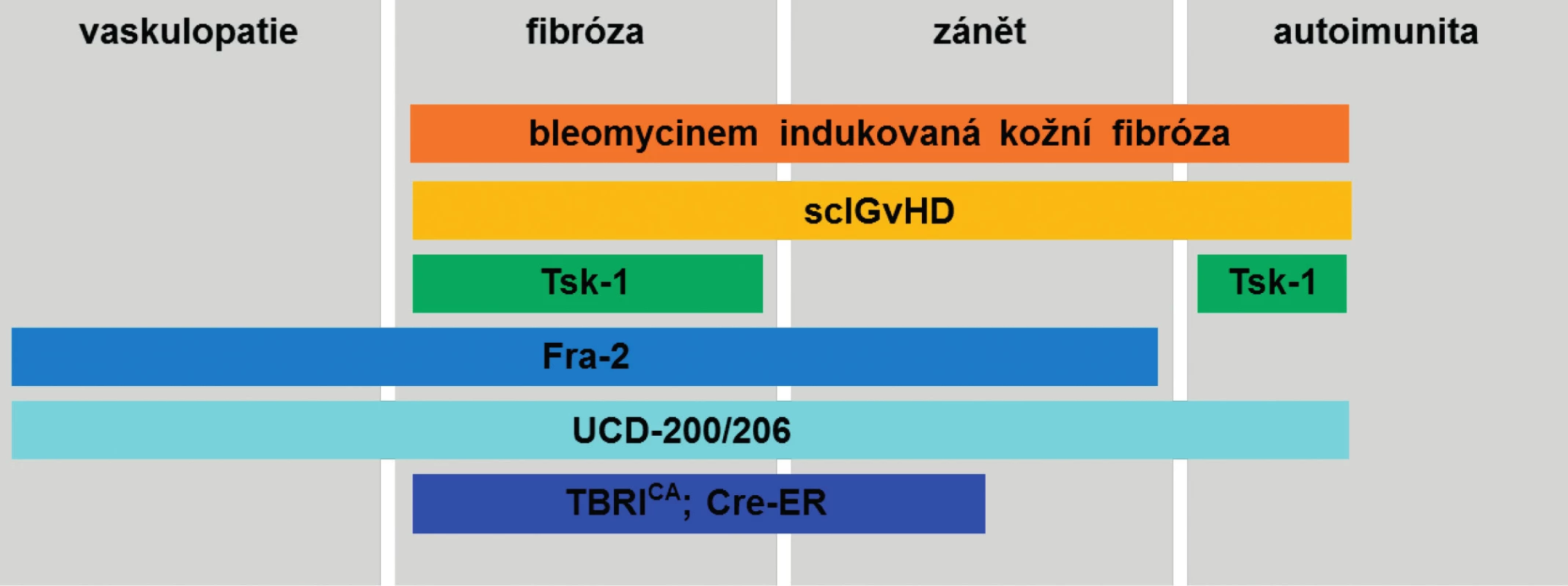 Přehled nejpoužívanějších zvířecích modelů SSc a zastoupení patogenetických mechanismů charakteristických pro SSc. (Upraveno podle Beyer C. et al., 2010) sclGvHD, Chronická sklerodermatózní reakce štěpu proti hostiteli; Tsk-1, Tight skin-1 myši; Fra-2, Fra-2 transgenní myši; UCD-200/206; kuřata linie UCD-200 a UCD-206; TBRICA; Cre-ER, TBRICA; Cre-ER myši