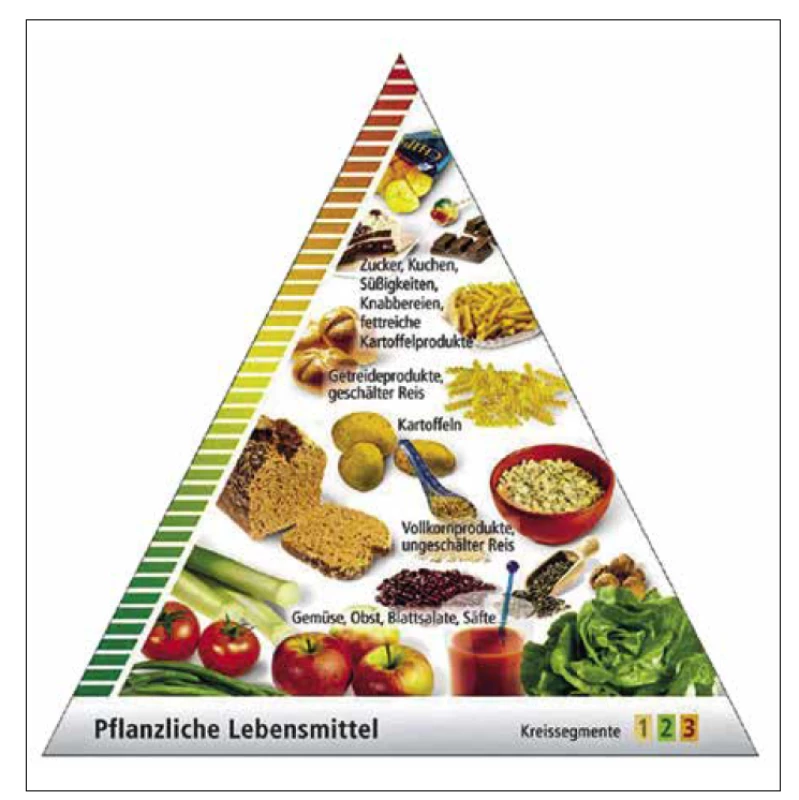 Potravinová pyramida podle německé Společnosti pro výživu (DGE).41
