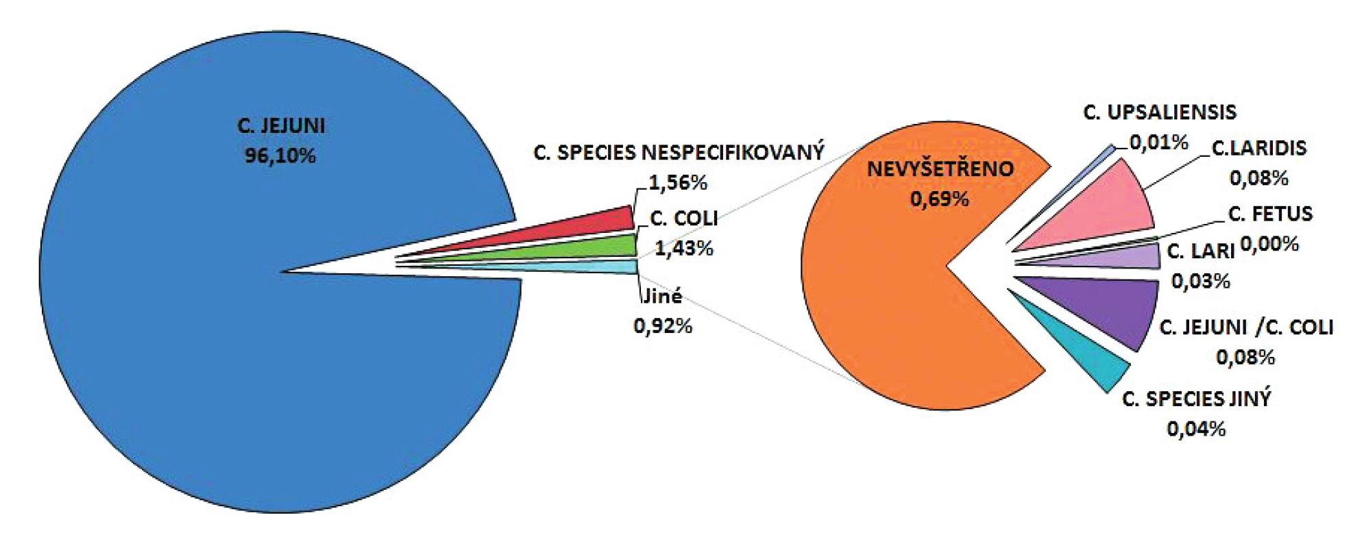 Podíl jednotlivých druhů rodu Campylobacter spp. na onemocnění kampylobakteriózou v ČR v letech 1997–2017, EpiDat<br>
Figure 5. Distribution of campylobacteriosis cases by causative species in the Czech Republic in 1997-2017, EpiDat