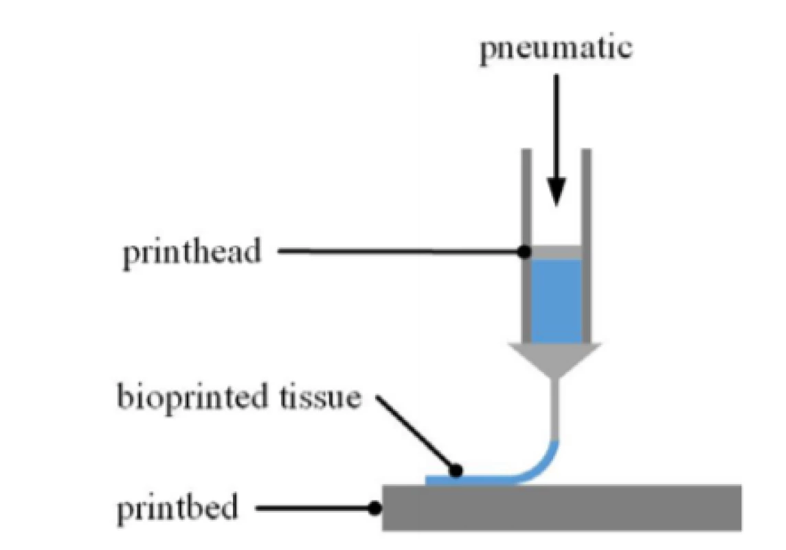 Schematic of EBB process. The printhead is
movable in x/y and z axis along the given toolpath. The
bioink is loaded into the printhead by means of
a cartridge. The print bed can be equipped with any kind
of substrates such as multiwell plates or a MEA chip.

