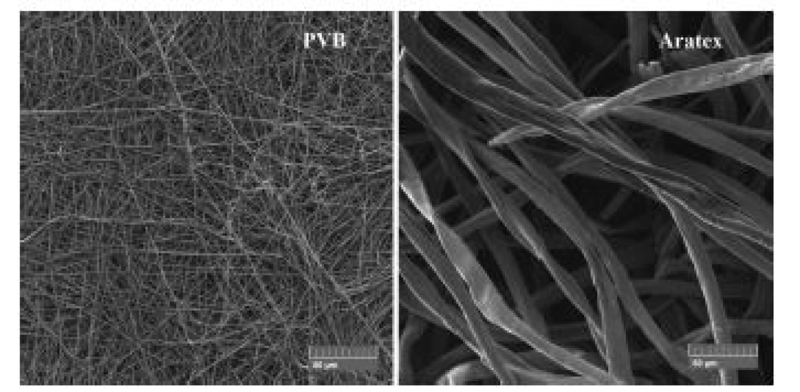 SEM images comparison of Aratex and PVB scent carrier morphology with the same magnification.