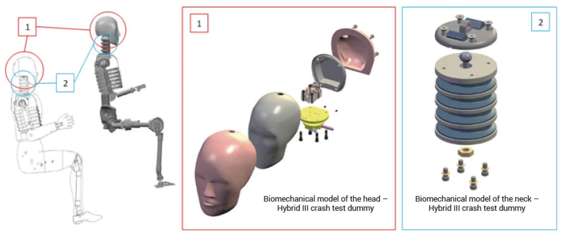 Design of the pivotal parts of the Hybrid III crash test dummy – parts used within experimental measurements [1]