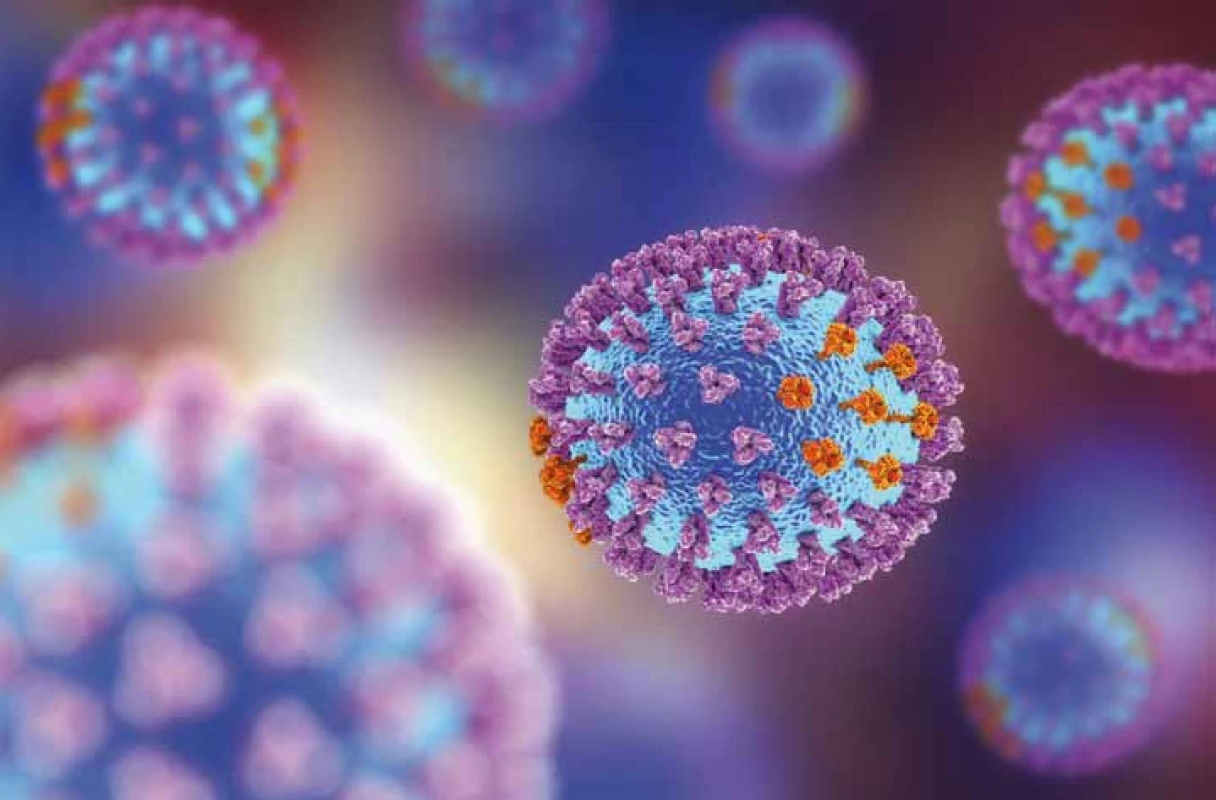 Virus chřipky. 3D ilustrace ukazující povrch glykoproteinové hroty hemaglutininu
fialové a neuraminidázy oranžové. Zdroj: shutterstock.com.