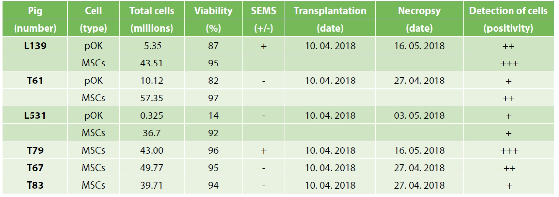Total cell numbers and viabilities of MSCs or pOKs in experimental animals, SEMS presence, and the date of transplantation
and necropsy with final positivity detection of tracked cells in ESD sites tissue