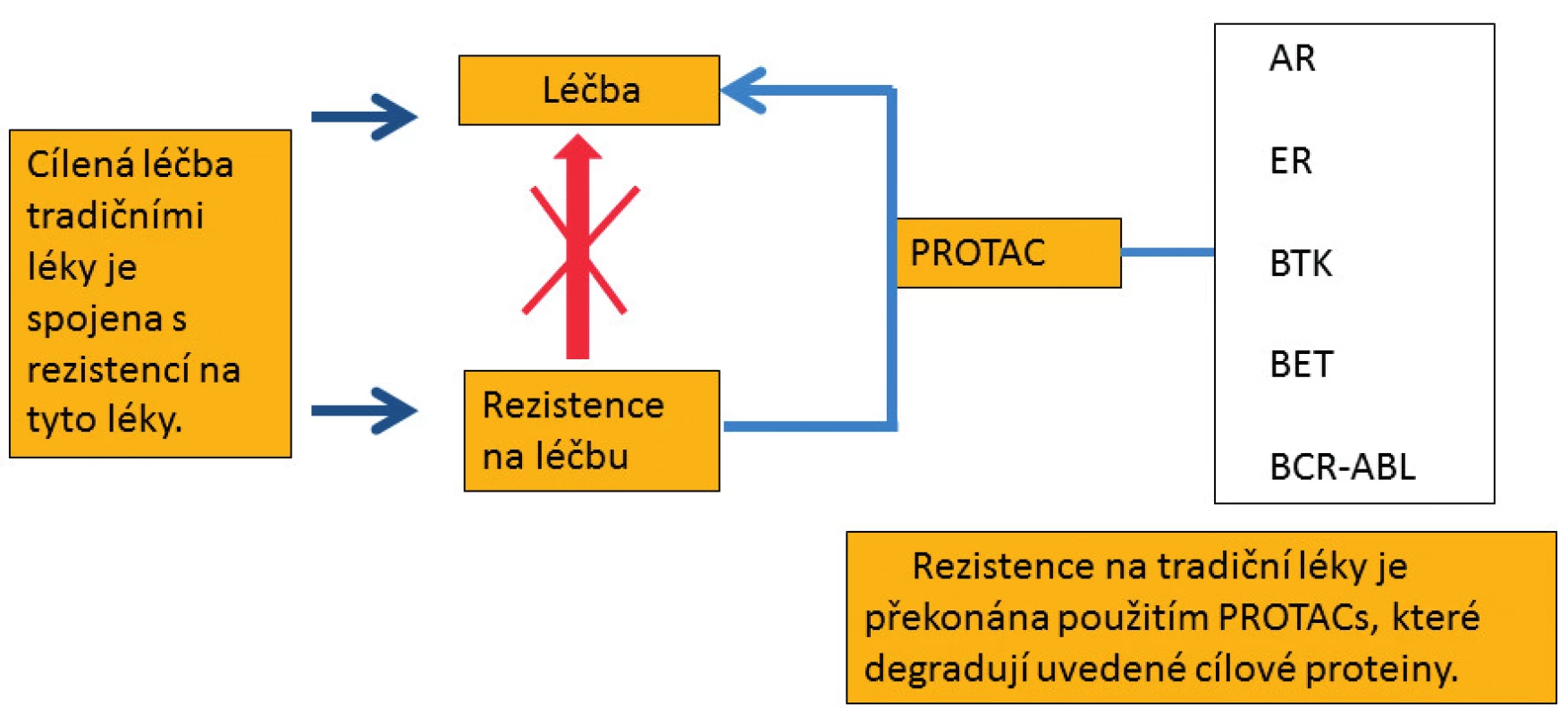 Molekuly PROTACs, které polyubikvitinují a následně degradují uvedené cílové proteiny
v proteazomu, překonávají rezistenci na tradiční léky.
AR – androgenní receptor, ER – estrogenní receptor, BTK – Brutonova tyrozinkináza, BET – proteiny
s bromo- a extraterminální doménou, BCR-ABL – fúzní onkoprotein tyrozinkináza, PROTAC – proteolysis
targeting chimera