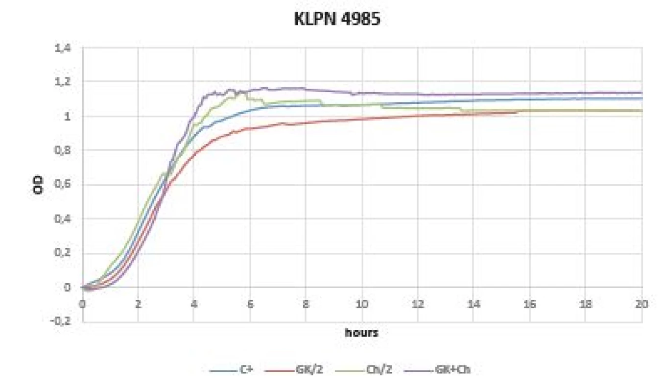 Optical density (OD) measurement dynamics within 20 hours
in <i>Klebsiella pneumoniae</i> CCM 4985 strain
Curves (C+ control, GK/2 Gum Karaya in double dilution, Ch/2
chitosan in double dilution, GK+Ch Gum Karaya and chitosan
mixture).