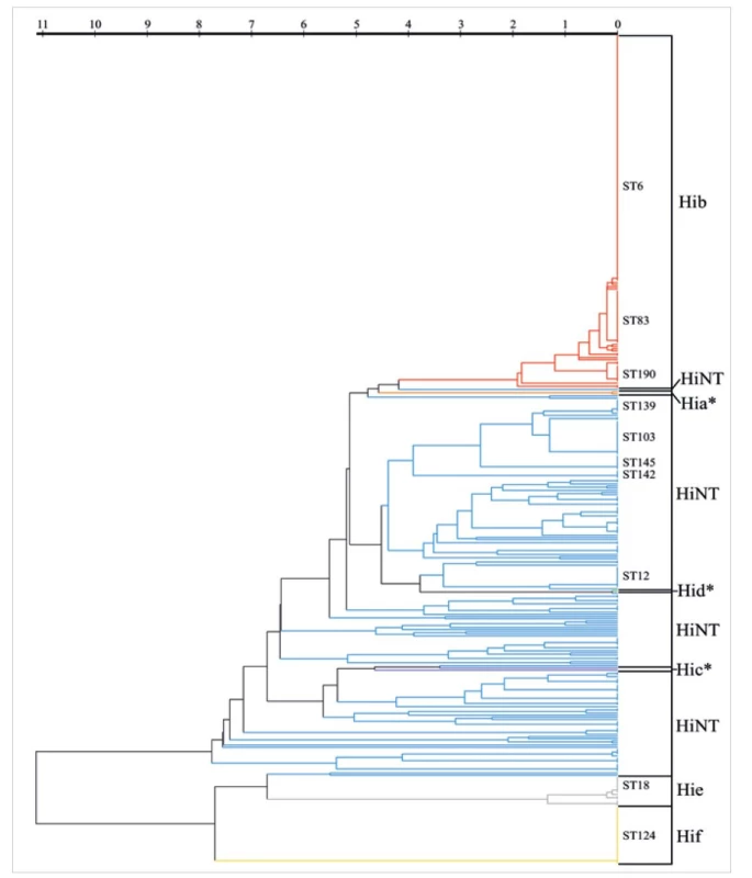 MLST analýza 388 kmenů H. influenzae<br>
Figure 6. MLST analysis of 388 H. influenzae strains