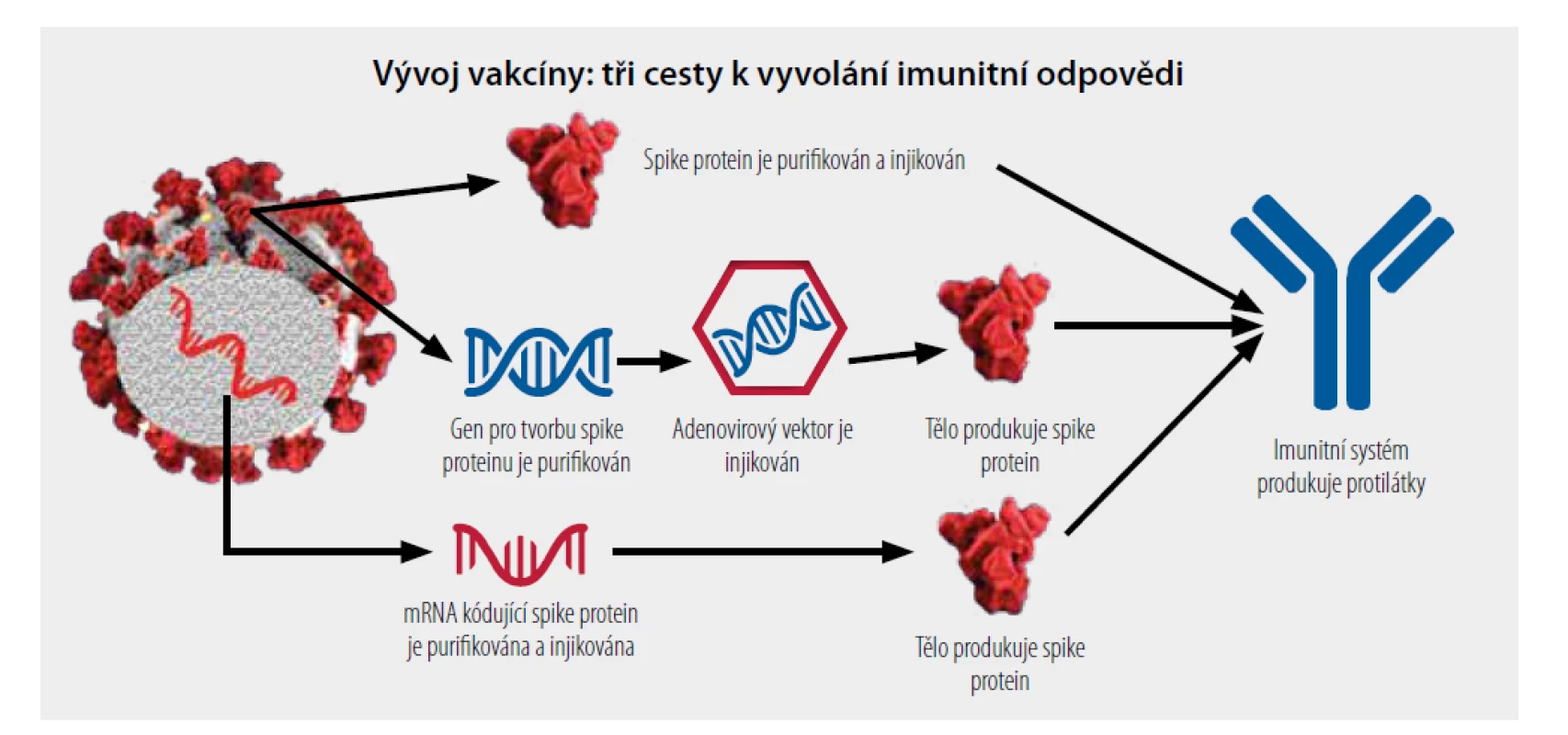 Grafické znázornění principu peptidové, vektorové a mRNA vakcíny. [Upraveno podle 11]