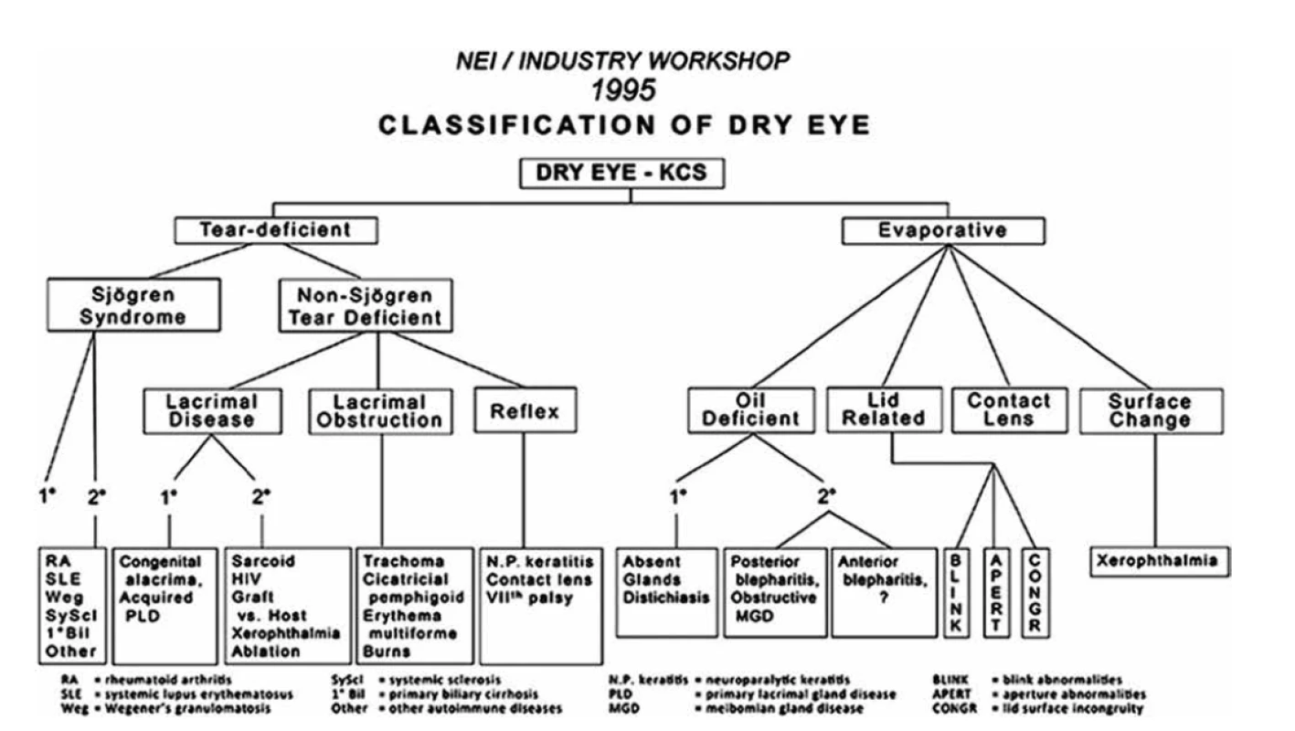 Klasifikace NEI / Indrustry workshop 1995 [3]