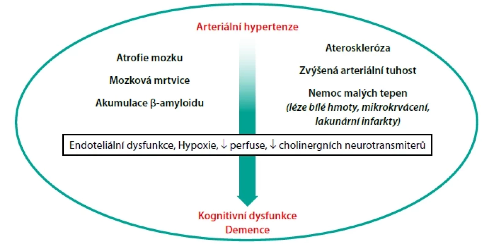Možné mechanismy vzniku kognitivní dysfunkce/demence u pacientů s arteriální hypertenzí