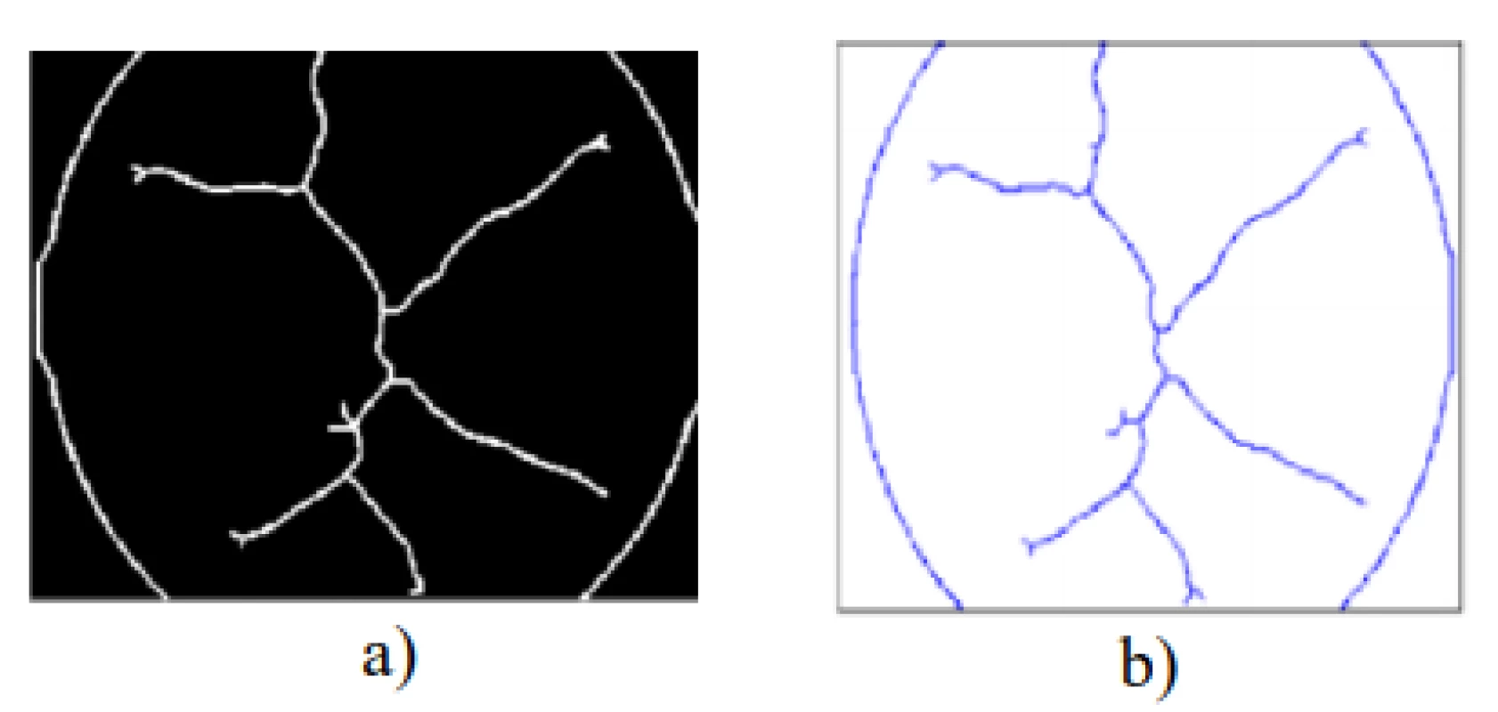 a) Skeletonization of image, b) transformation
into the coordinate system