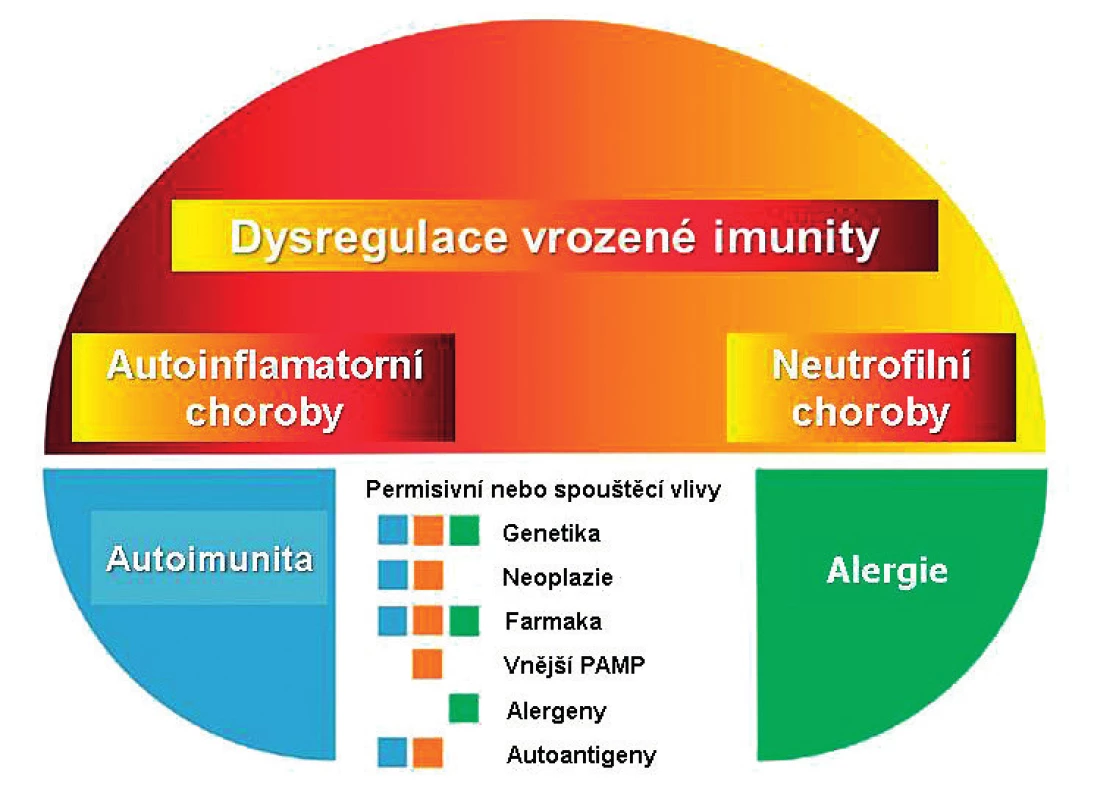 Pyoderma gangrenosum v konceptu chorob
s autoinflamatorní komponentou.