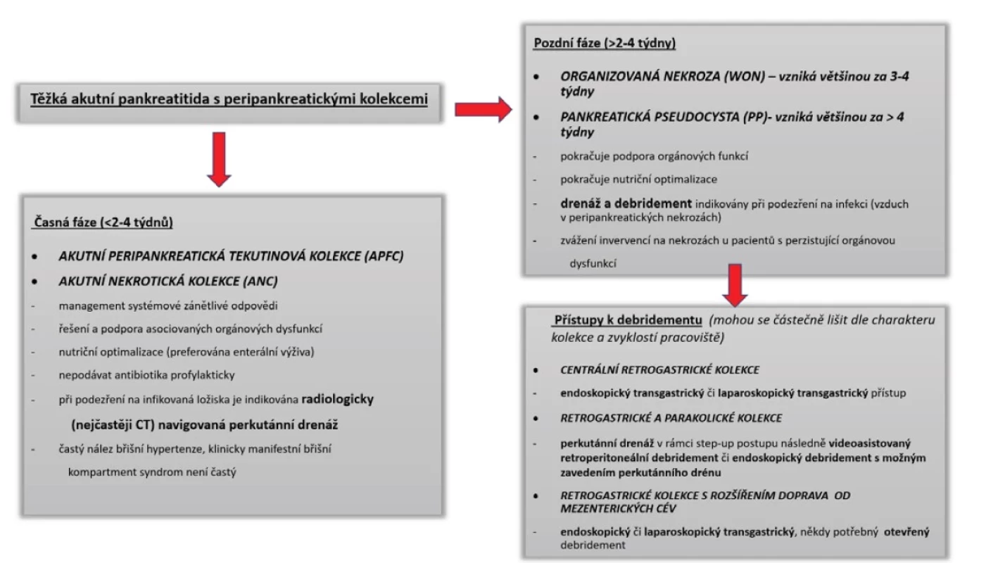 Časová osa step-up postupu u peripankreatických tekutinových kolekcí při těžké akutní pankreatitidě [14]<br>
Fig. 5: Timeline of the step-up approach for peripancreatic fluid collections in severe acute pancreatitis [14]