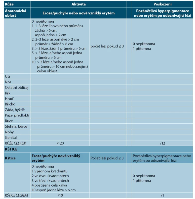 Hodnocení závažnosti pemfigu (Pemphigus Disease Area Index – PDAI, assessment of this severity score)