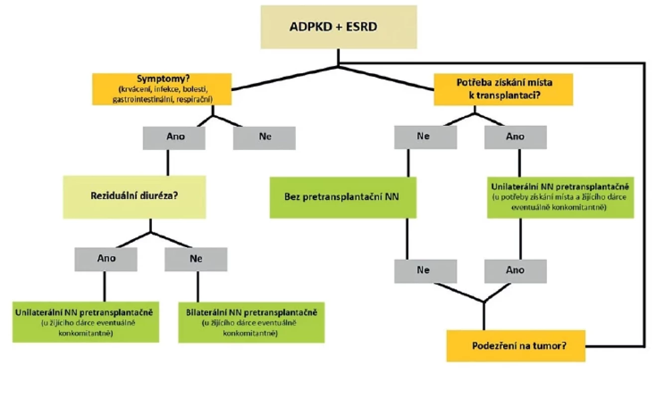 Rozhodovací schéma o provedení NN <br> 
Fig. 3. Decision scheme on performing native nephrectomy in ADPKD