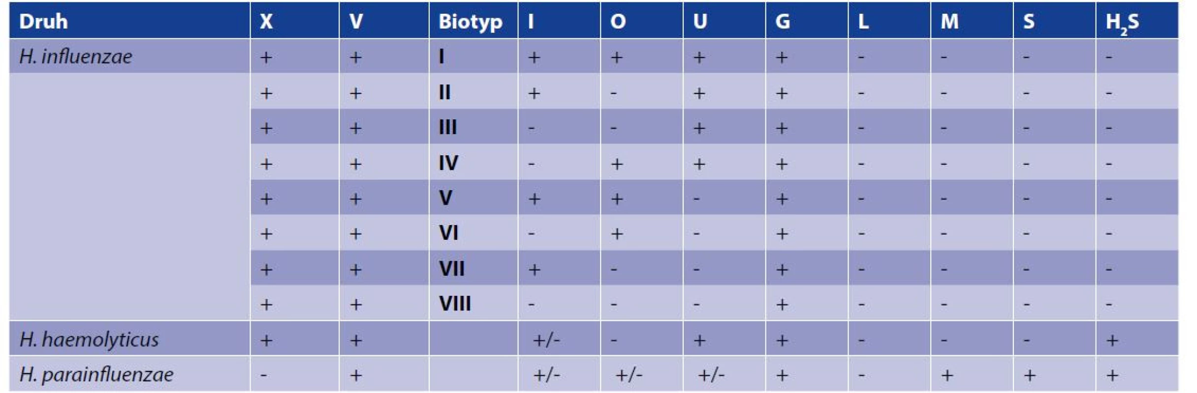 Biotypy H. influenzae a fenotypové vlastnosti vybraných blízkých druhů<br>
Table 1. H. influenzae biotypes and phenotypic characteristics of selected closely related species