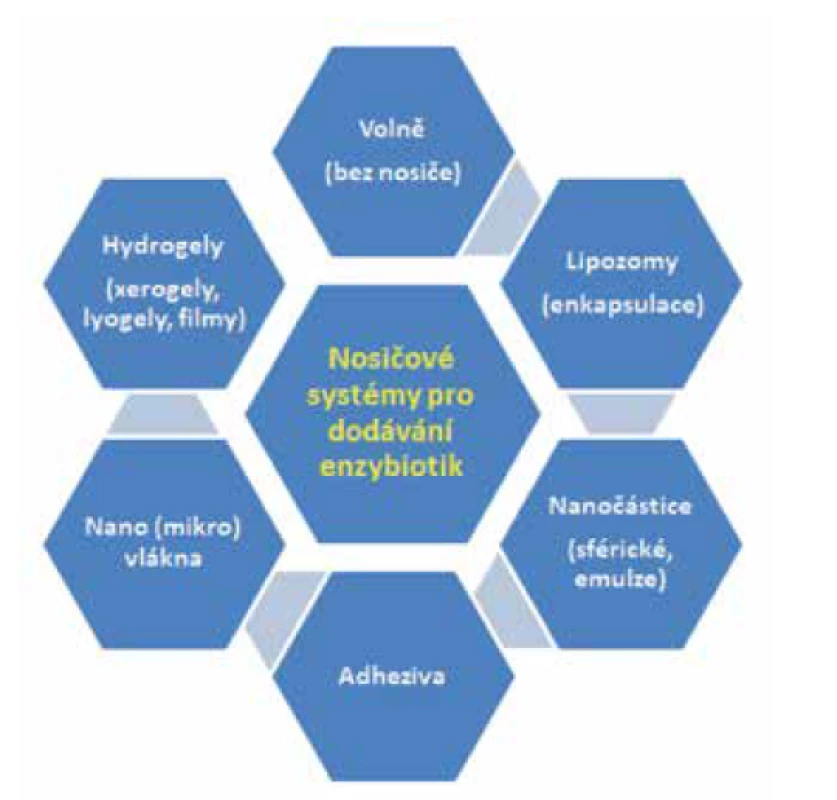 Systémy pro cílené doručování enzybiotik<br>
(upraveno podle obrázku z článku Pinto et al., 2020 [65])<br>
Figure 5. Targeted enzybiotic delivery systems<br>
(adapted based on the figure in Pinto et al., 2020 [65])