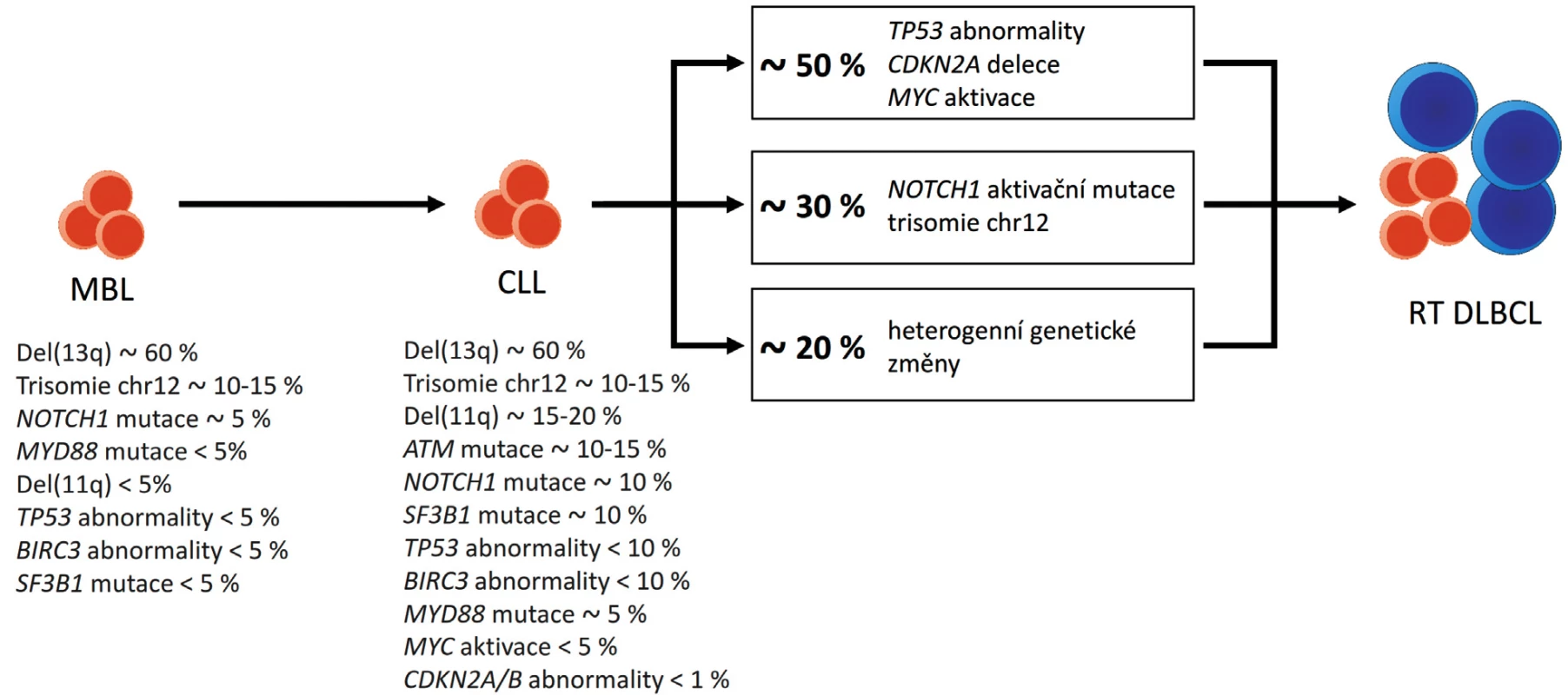 Genetické změny u Richterovy transformace chronické lymfocytární leukemie (CLL) do difuzního velkobuněčného lymfomu (RT DLBCL). Upraveno podle [10, 48, 49].