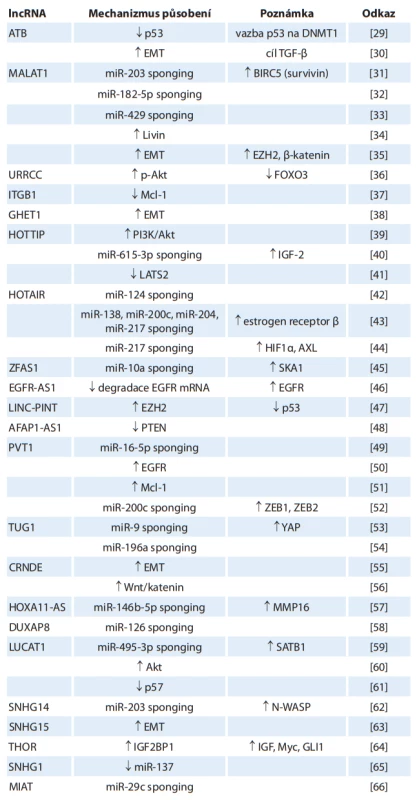 Přehled onkogenních lncRNA v patogenezi karcinomu z renálních buněk
a jejich biologických funkcí. 