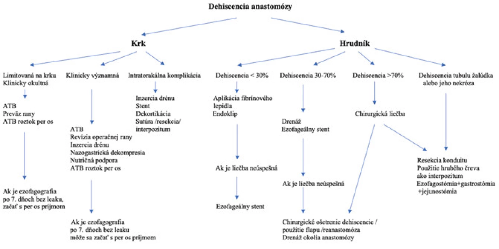 Algoritmus liečby dehiscencie pažerákovej anastomózy<br>
Fig. 5: Algorithm of treatment of oesophageal anastomotic dehiscence.