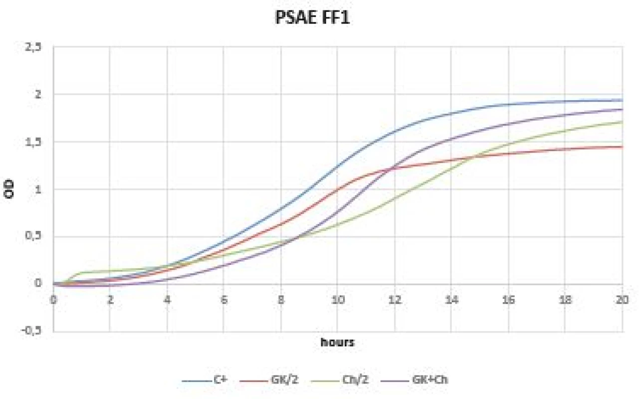 Optical density (OD) measurement dynamics within 20 hours
in <i>Pseudomonas aeruginosa</i> FF1 strain
Curves (C+ control, GK/2 Gum Karaya in double dilution, Ch/2
chitosan in double dilution, GK+Ch Gum Karaya and chitosan
mixture).