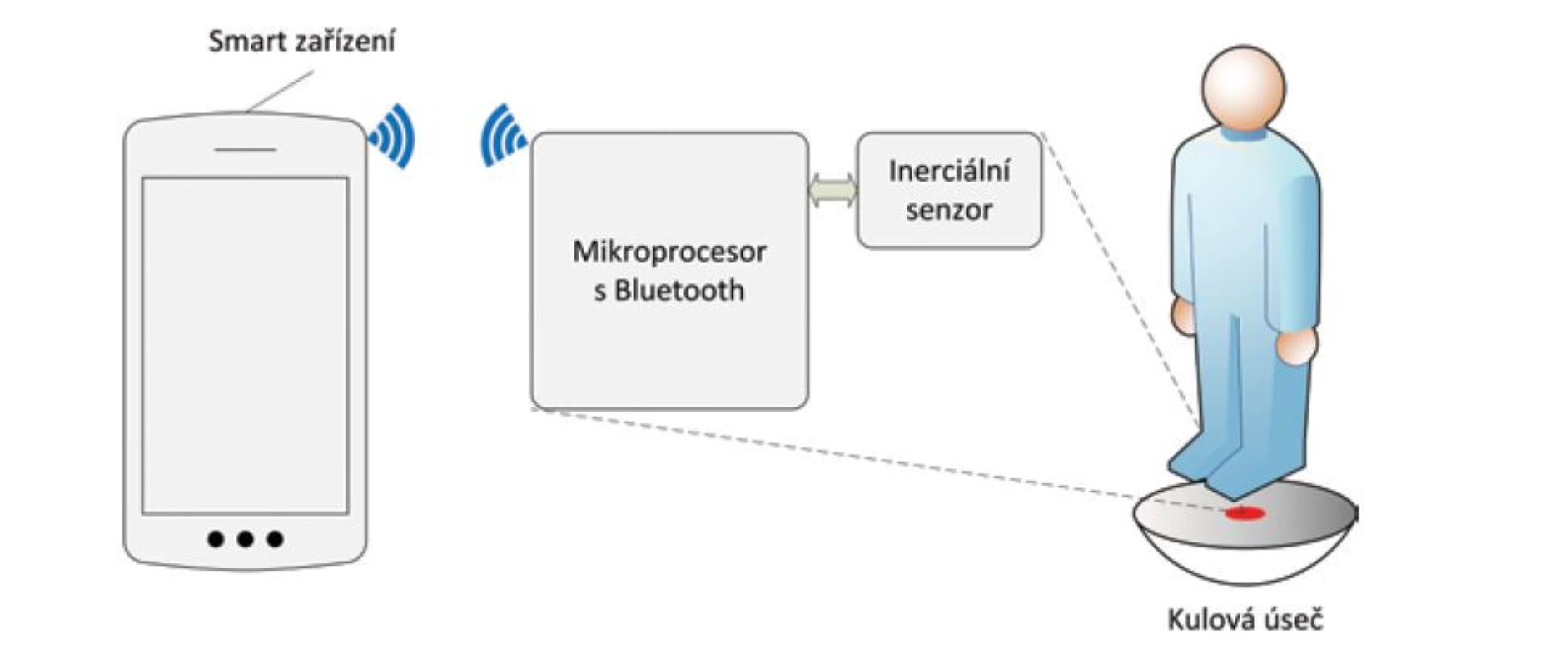Biotelemetrický senzor pro kulovou úseč