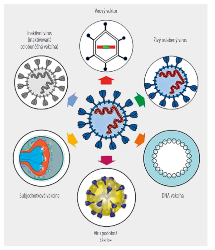 Schéma základních přístupů výroby vakcín proti SARS-CoV-2. [Upraveno podle 8]
