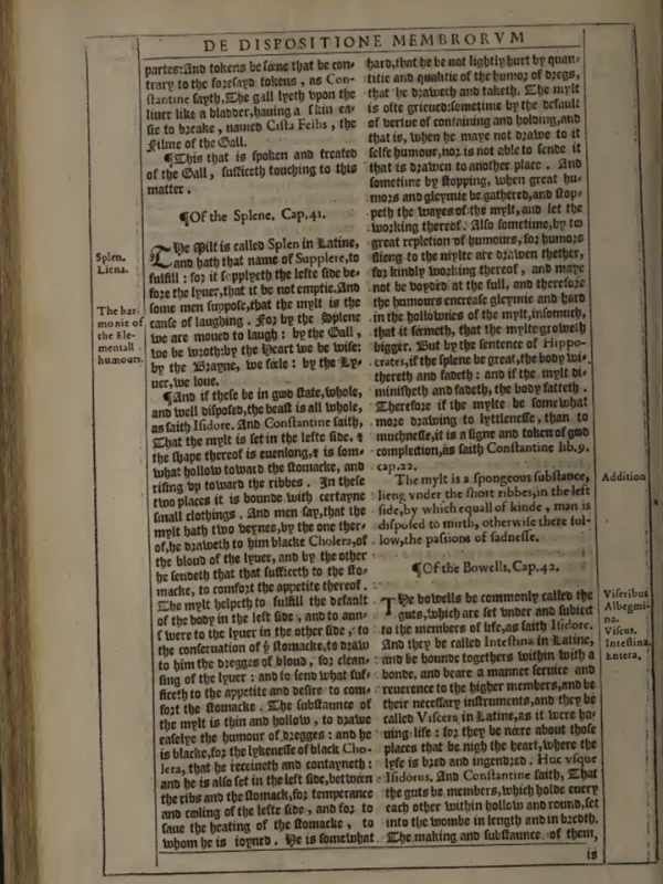 De visceribus, 5. kniha kompendia <br>De Proprietatibus Renum Bartholomea Anglica