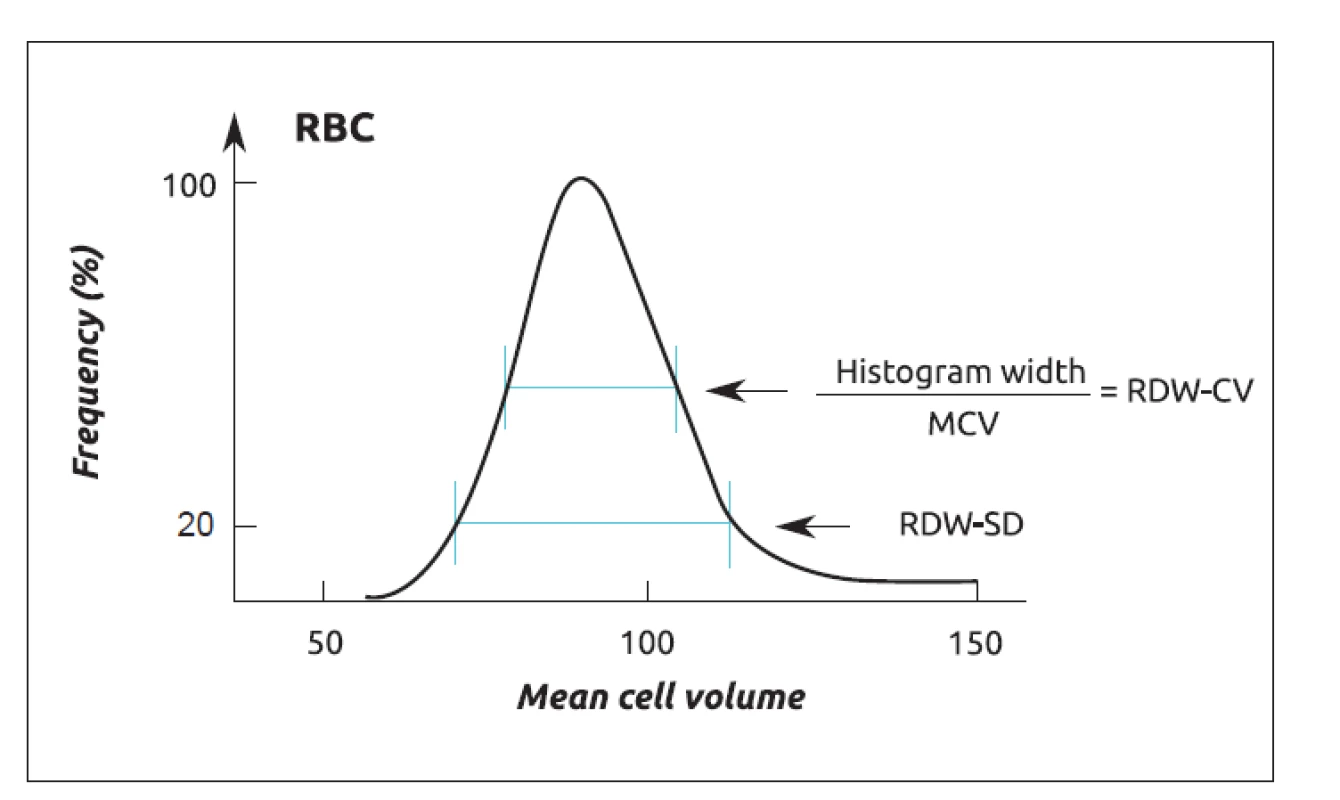 Odečet parametru RDW z histogramu RBC (zdroj: Med-Health.net [6]).<br>
RBC – erytrocyty, RDW – šíře distribuce erytrocytů, CV – variační koefi cient,<br>
SD – směrodatná odchylka