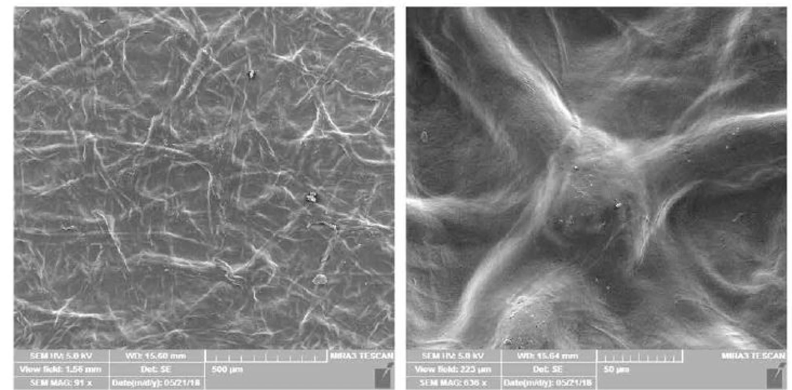 Mikroskopický vzhled povrchu připravených filmů – snímky z elektronového mikroskopu při přiblížení 500 μm (vlevo) a 50 μm
(vpravo)