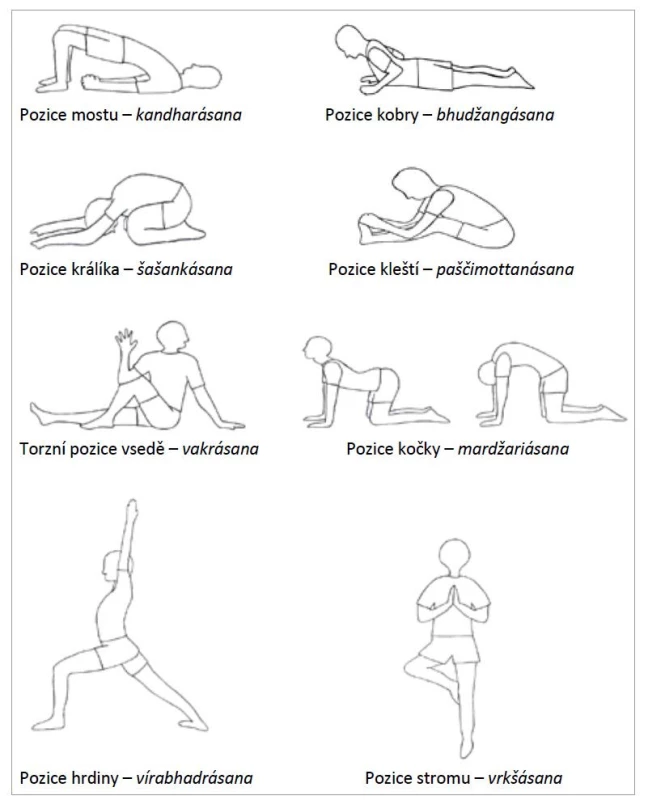 Jógové ásany.<br>
Fig. 1. Yoga asanas.