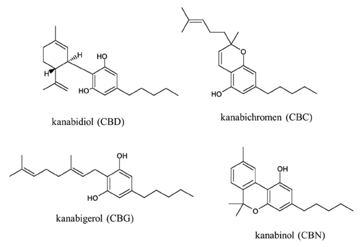 Chemické struktury
studovaných
fytokanabinoidů. <br> 
Fig. 1.
Chemical structures
of studied
phytocannabinoids